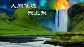逃离外星人森林