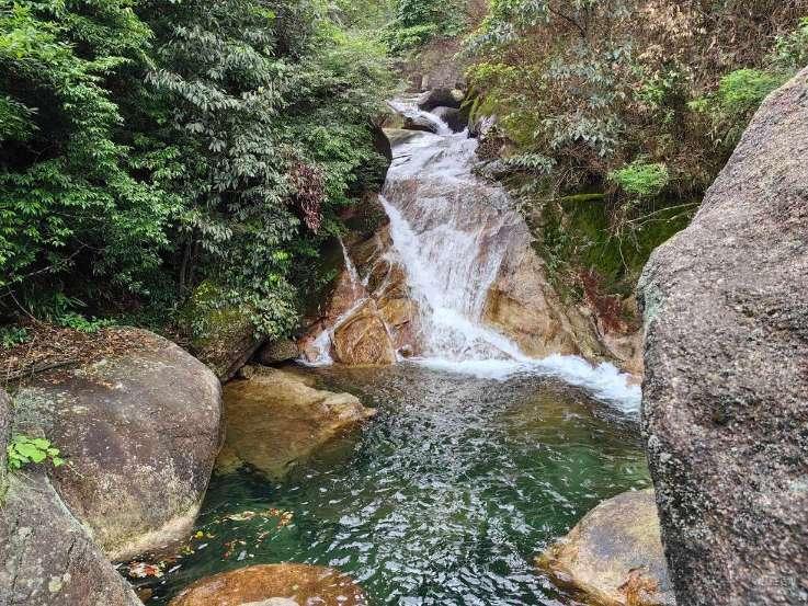 救援花栗鼠