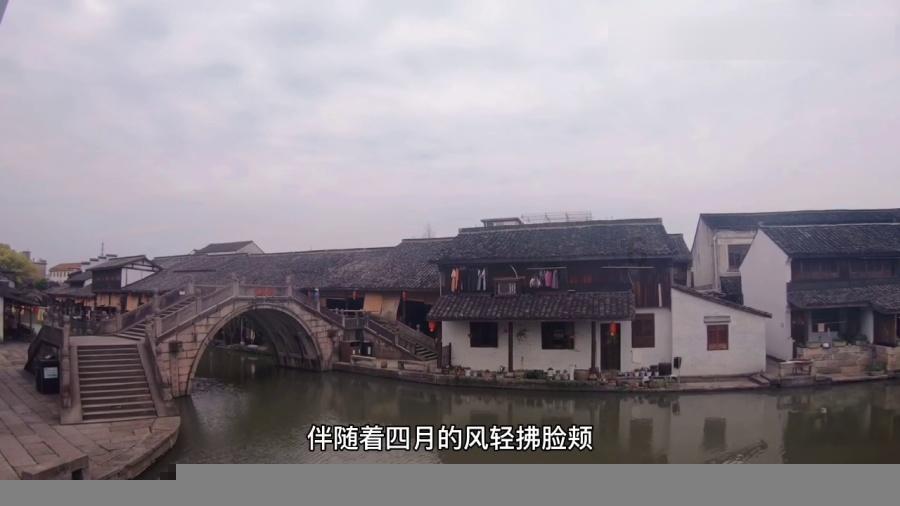 老中青“九歌”艺术家欢聚一堂,叙旧话新谋发展