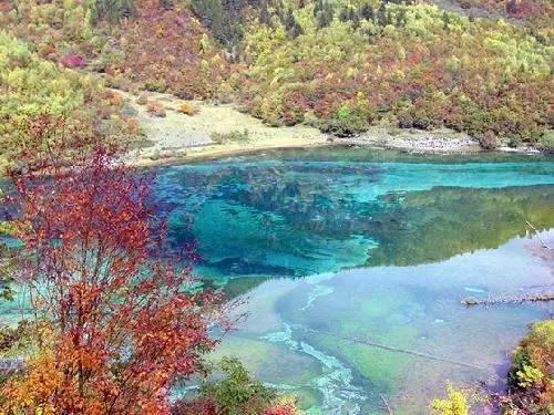 点星沉月